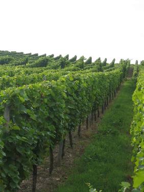 2009_weinberg 2009_weinberg