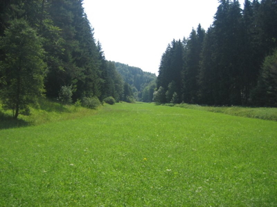 2006_csm_Reichental 2006_csm_Reichental